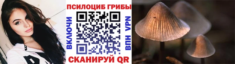 Галлюциногенные грибы Psilocybe  Сегежа 
