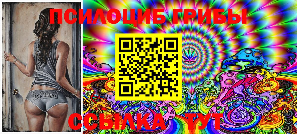 Сегежа  Псилоцибиновые грибы MAGIC MUSHROOMS  Вход с VPN 